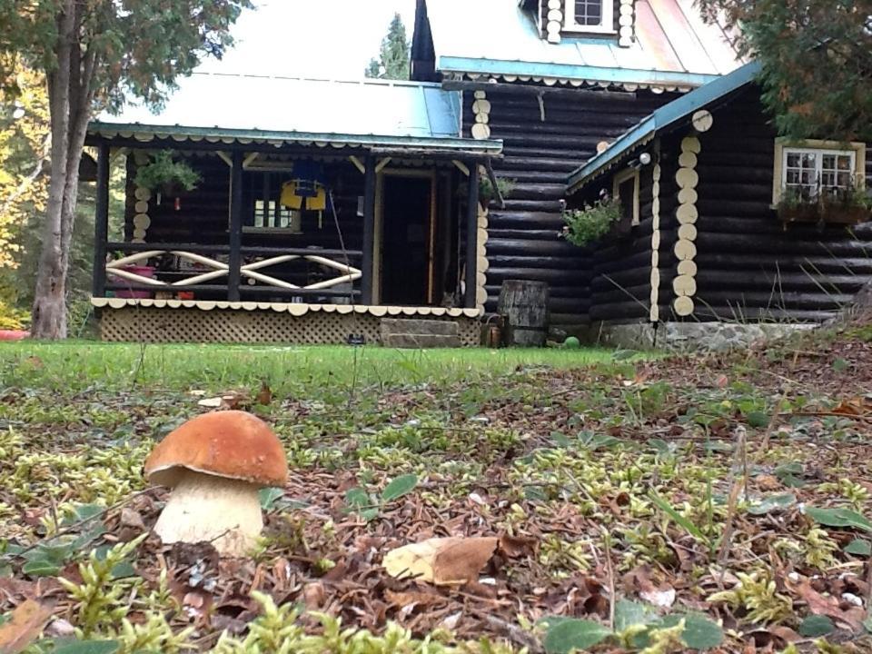 Domaine Le Bostonnais - Le Village En Bois Rond La Tuque Exterior photo